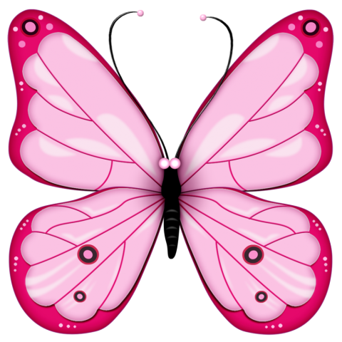 pink butterfly png