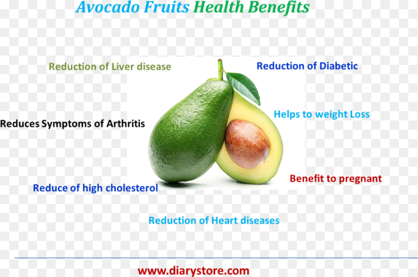 Clip Art Avocado Fruits and Nutritional Avocado Hd