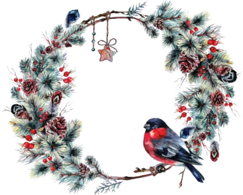 pine christmas clipart png