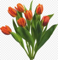 Bouquet of Flowers Png Image Flowers Png