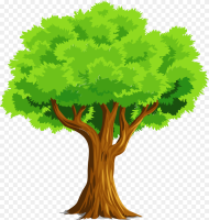Tree Clipart Hd Png Download