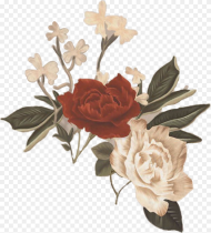 My Blood Shawn Mendes Flower Hd Png