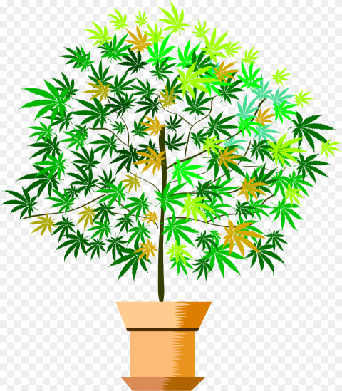 House Plant Clipart Picture   Clipart Png