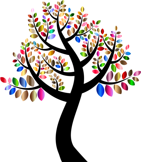 tree png clipart color
