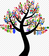 Plant Tree Branch Tree With Colorful Leaves Hd