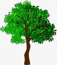 Clip Art Free Images of Trees Clipart Trees