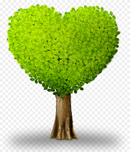 Plant Tree Heart Heart Shaped Tree Clipart Hd