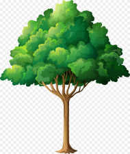 Tree Branch Clip Art Forest Trees Clipart Png
