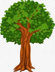 Cartoon Trees Png Transparent Tree Cartoon Png