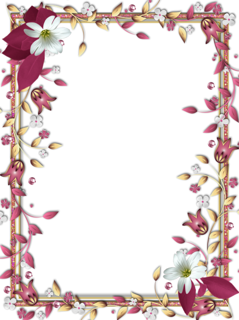 frame png hd flowers