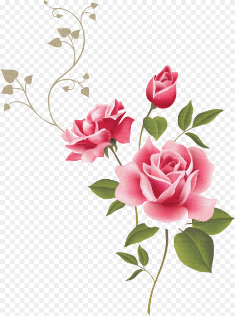 Rose Outline Png Clip Art Borders Flowers
