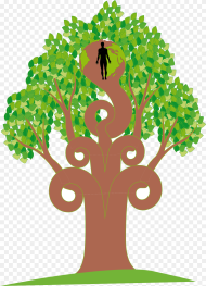 Tree Clipart Clipart Mango Tree Illustration Hd Png