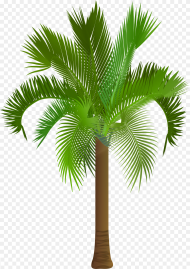 Palm Tree Clip Art Png Image