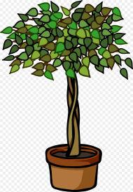 John Cena Clipart Plant Ficus Tree Clip Art