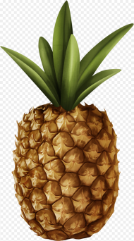 Pineapple Png Clipart Pineapple Transparent Png