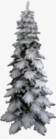 Pine Tree Snow Png Tree Transparent Png