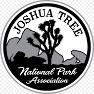 Joshua Tree Png Transparent Png 