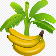 Banana Tree Clipart Png Gambar Pohon Pisang Kartun