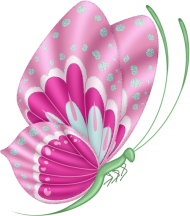 borboleta desenho pink