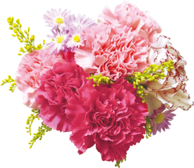 bunch of flowers png