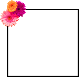 frame border png flowers